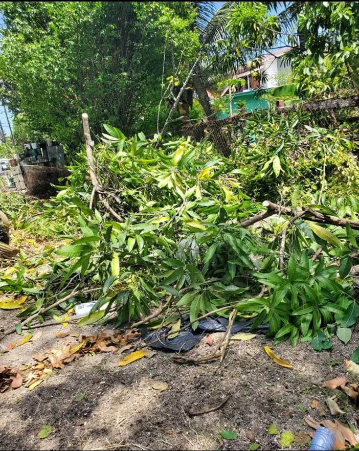 Land Cleaning & Clearing After 1