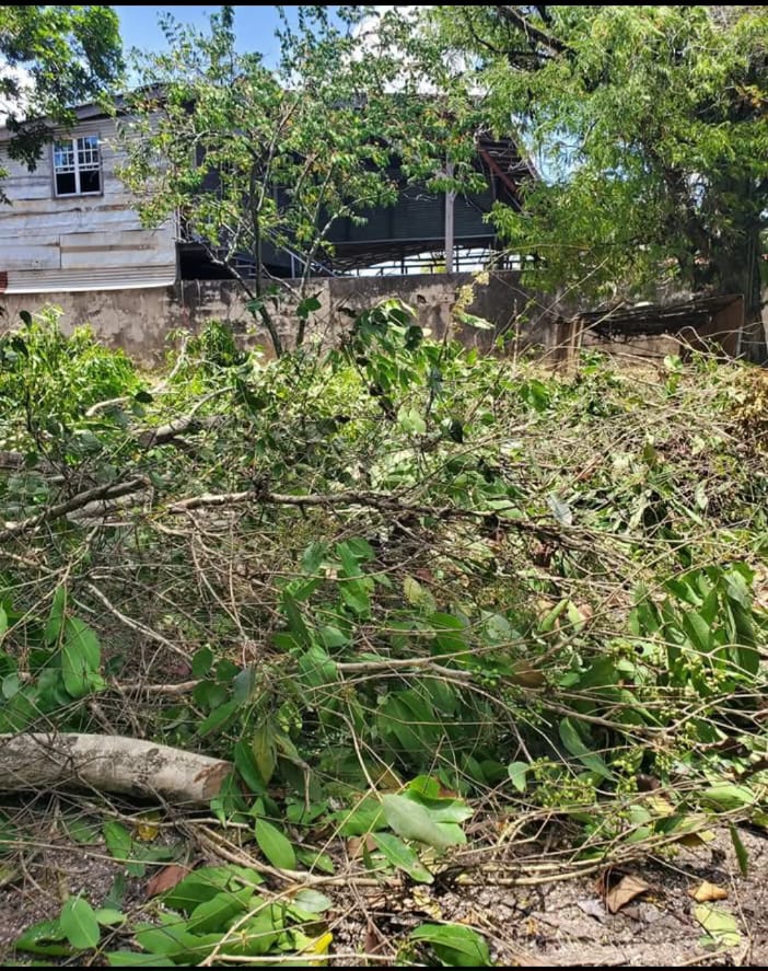 Land Cleaning & Clearing Before