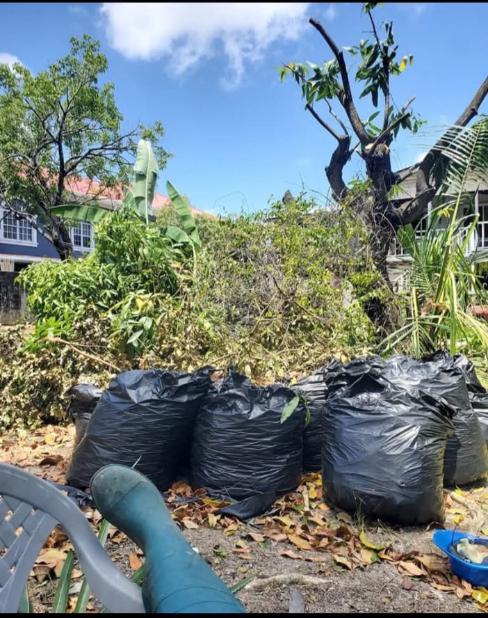 Land Cleaning & Clearing After 2