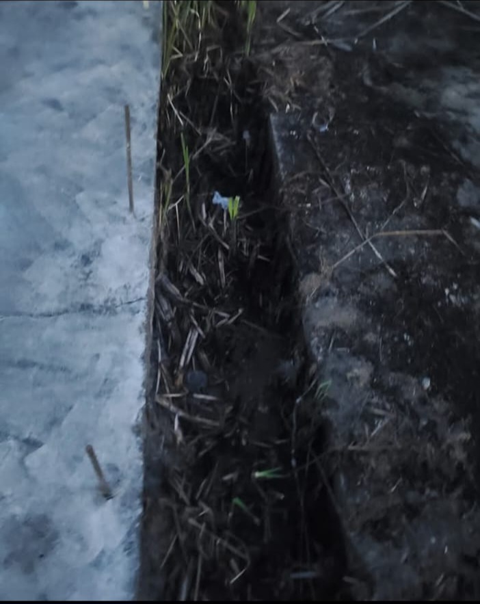 Drainage Cleaning Before