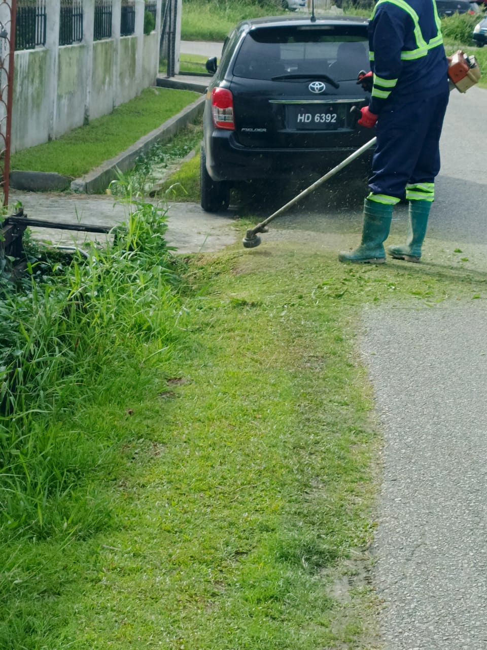 Weeding Services Action 2