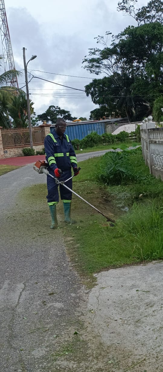 Weeding Services Action 1